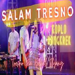 Lutfiana Dewi - Salam Tresno (Live Koplo)