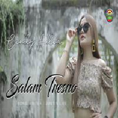 Download Lagu Cindy Aulia - Salam Tresno Terbaru