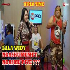 Download Lagu Lala Widy - Ndasku Mumet Ndasmu Piye Terbaru