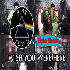 Sanca Records - Wish You Were Here (Reggae Cover)