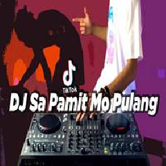 Download Lagu Dj Desa - DJ Sa Pamit Mo Pulang X India Pal Pal Dil Ke Paas Terbaru
