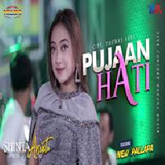 Download Lagu Shinta Arsinta - Pujaan Hati (New Pallapa) Terbaru