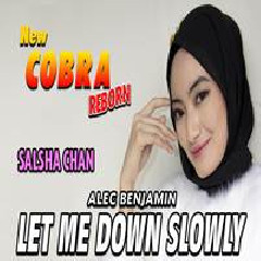 Salsha Chan - Let Me Down Slowly (New Cobra)