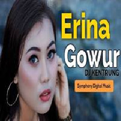 Erina - Gowur (DJ Kentrung)