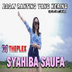 Download Lagu Syahiba Saufa - Bagai Ranting Yang Kering Terbaru