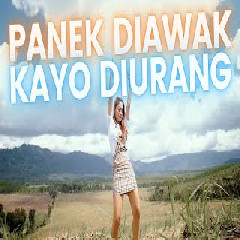 Vita Alvia - Panek Diawak Kayo Diurang (Dj Remix)