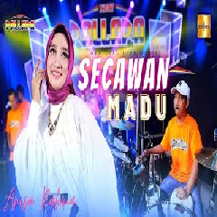 Download Lagu Anisa Rahma - Secawan Madu Ft New Pallapa Terbaru