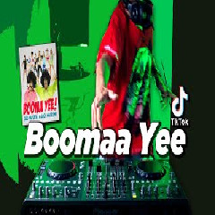 Download Lagu Dj Desa - Dj Booma Booma Yee X Tarik Sis Semongko Tik Tok Viral 2021 Terbaru