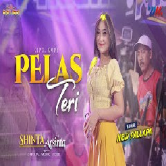 Download Lagu Shinta Arsinta - Pelas Teri (New Pallapa) Terbaru