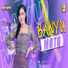 Download Lagu Yeni Inka - Banyu Moto (New Pallapa) Terbaru
