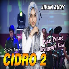 Jihan Audy - Cidro 2 (Versi Koplo)