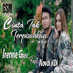 Download Lagu Irenne Ghea - Cinta Tak Terpisahkan ft. Noval KDI (Dj Koplo) Terbaru
