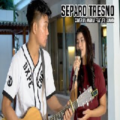 Download Lagu Nabila Maharani - Separo Tresno - Ndarboy Genk (Cover Ft. Tri Suaka) Terbaru