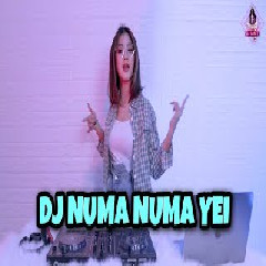 Dj Imut - Dj Numa Numa Yei Slow Remix X Ga Suka Gelay Terbaru 2021