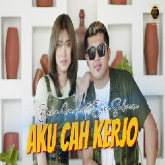 Download Lagu Delva Irawan - Aku Cah Kerjo Feat Dike Sabrina Terbaru