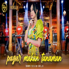 Download Lagu Nurma Paejah - Pagar Makan Tanaman Ft Om Adella Terbaru