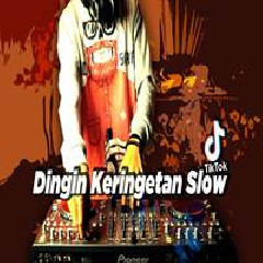 Download Lagu Dj Desa - Dingin Keringetan Aisyah Maimunah Ft. Wisnu Ugil Terbaru