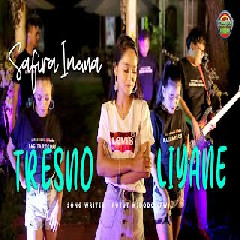 Download Lagu Safira Inema - Tresno Liyane Terbaru